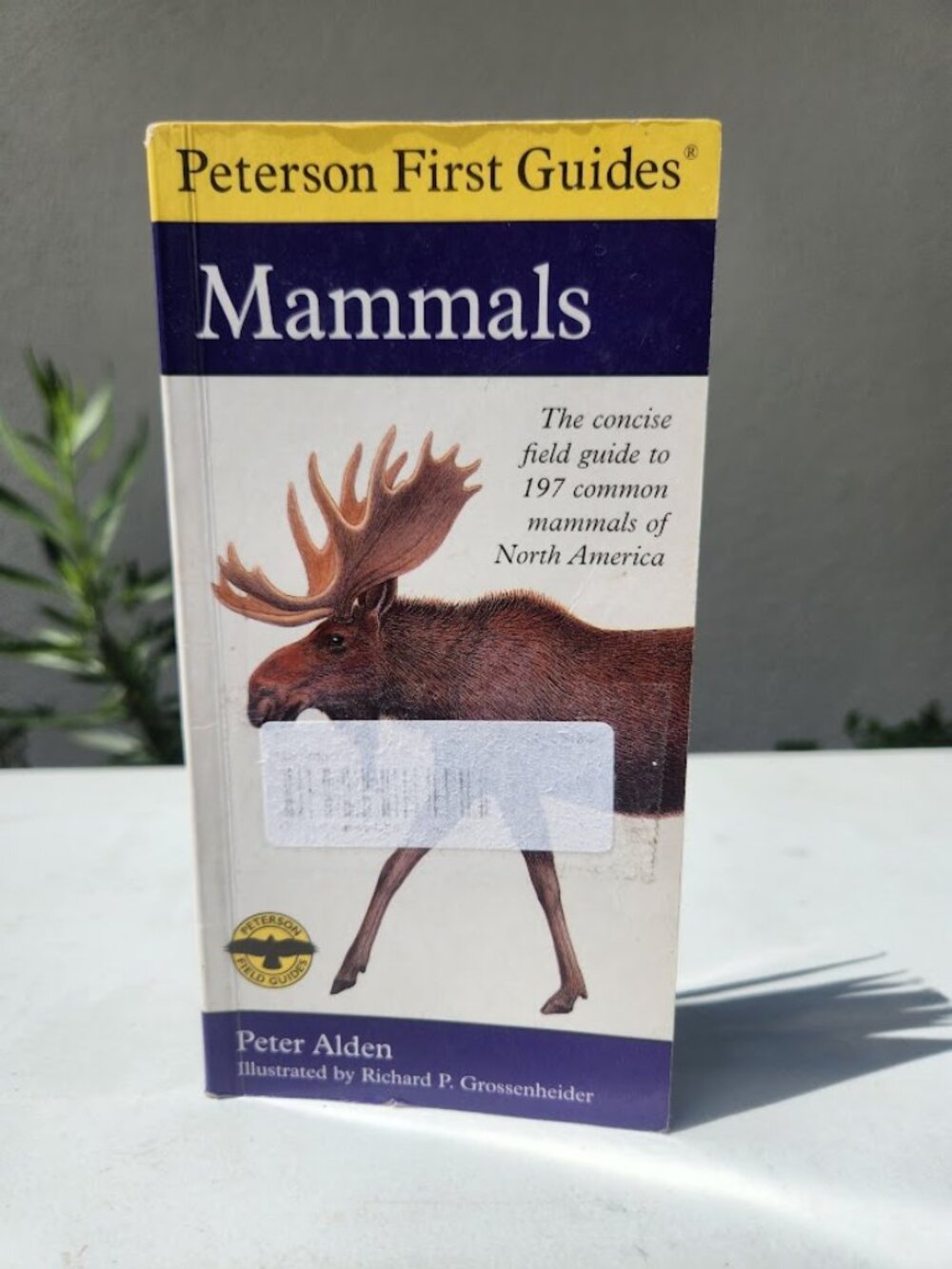 Peterson First Guide to Mammals of North America Pocket Book by Peter Alden Fiel